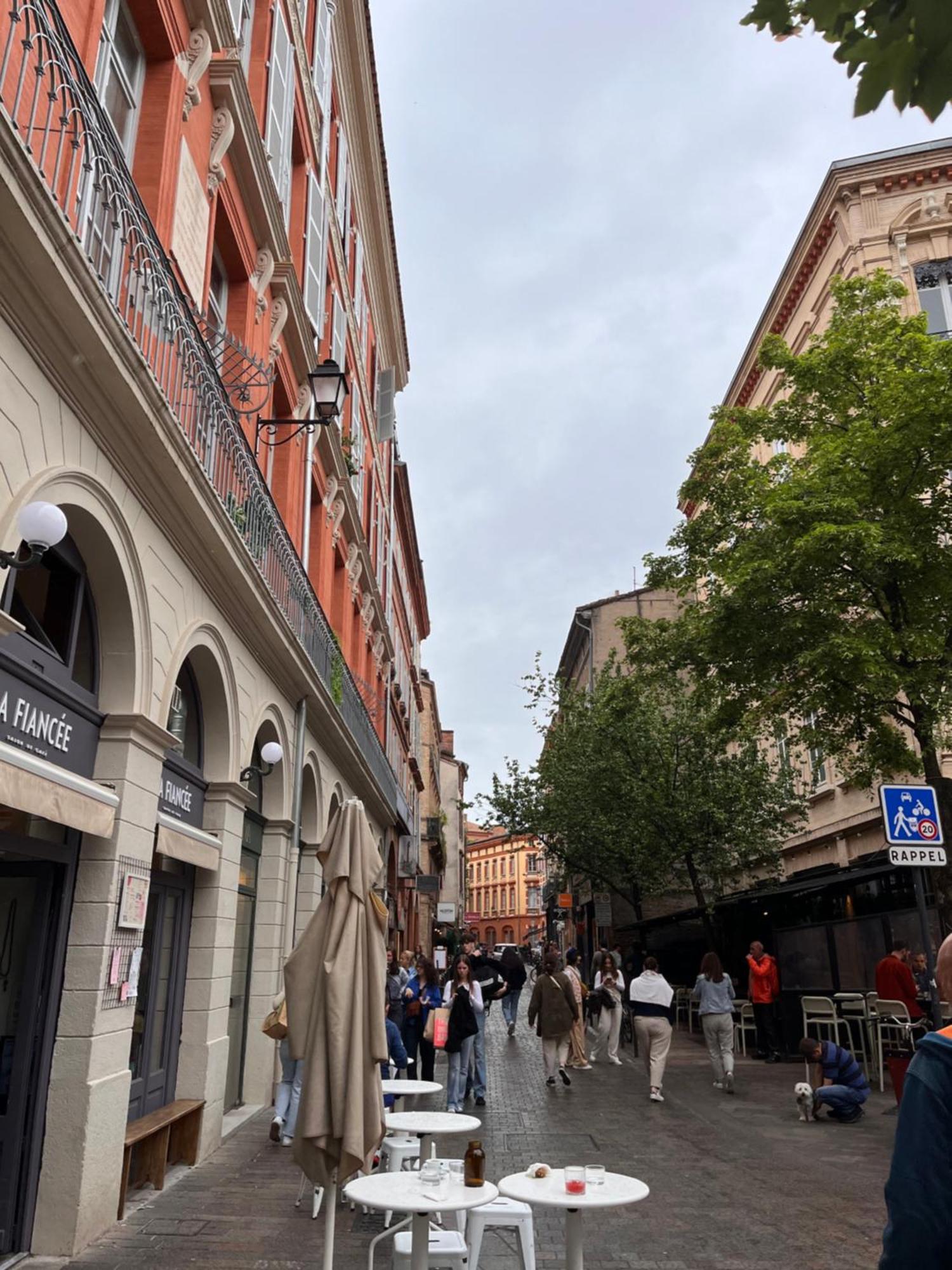 Le Petit Toulousain Chic Toulouse Bagian luar foto